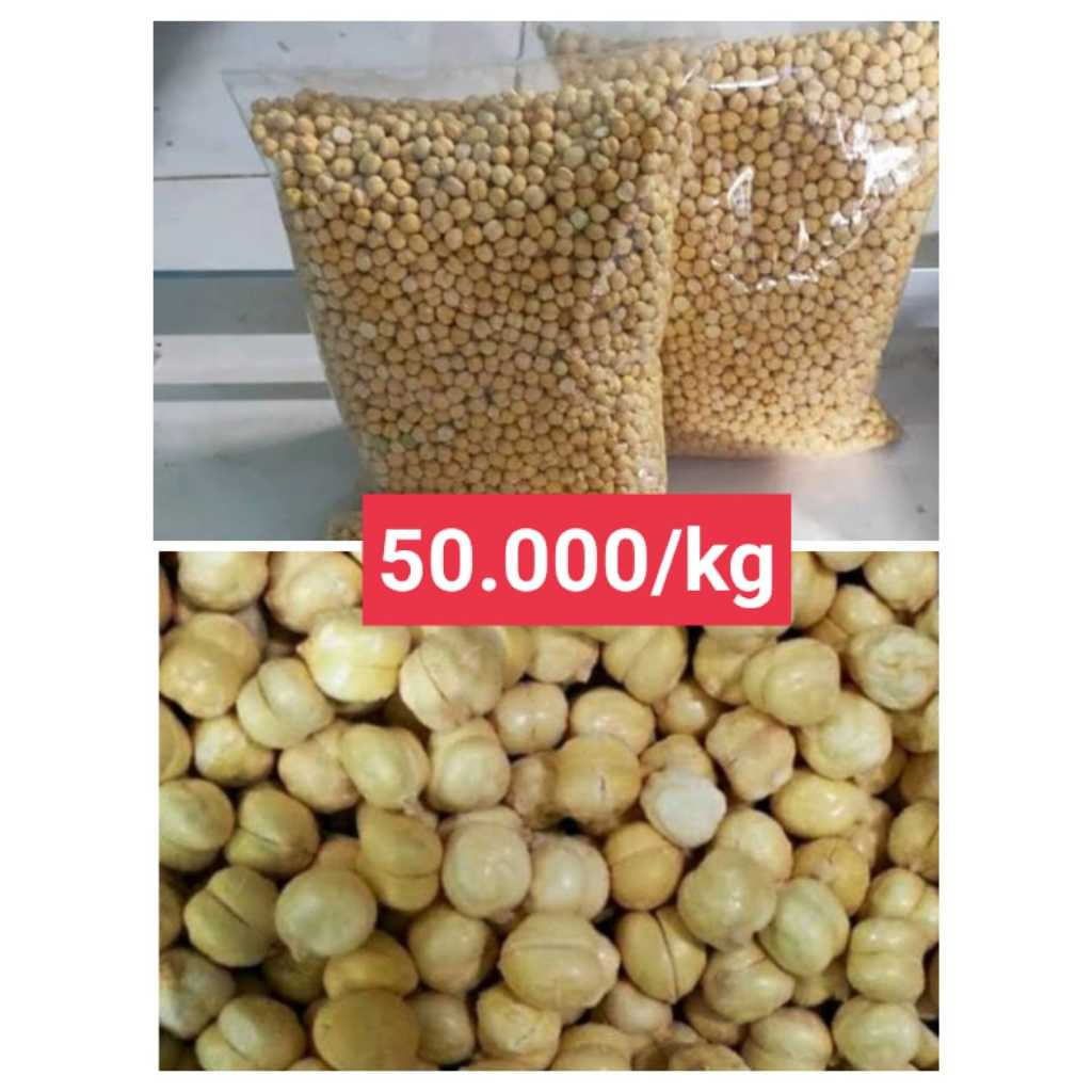 

Kacang Arab
