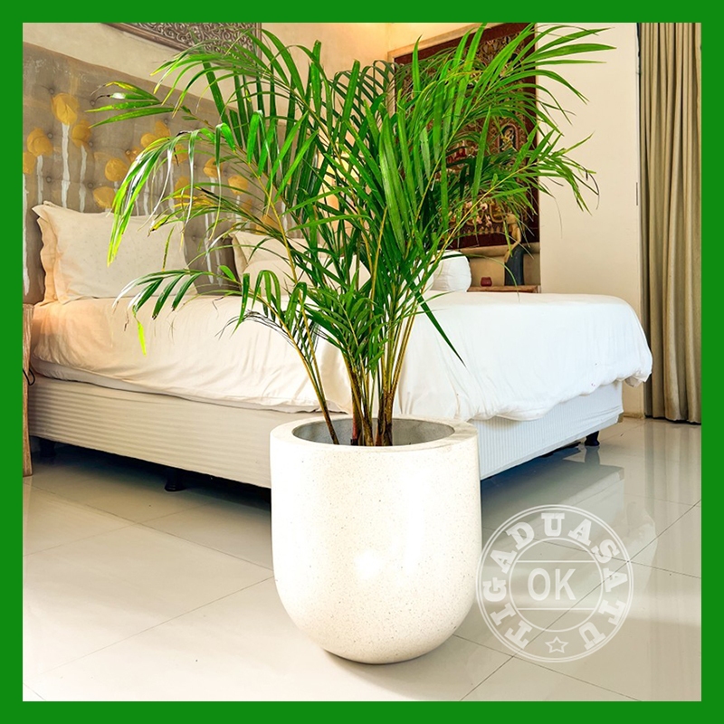 Pot Teraso Standing Kapsul