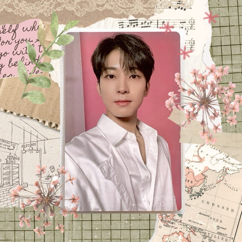 [booked] tc seventeen cafe in seoul no. 71 selca wonwoo damage