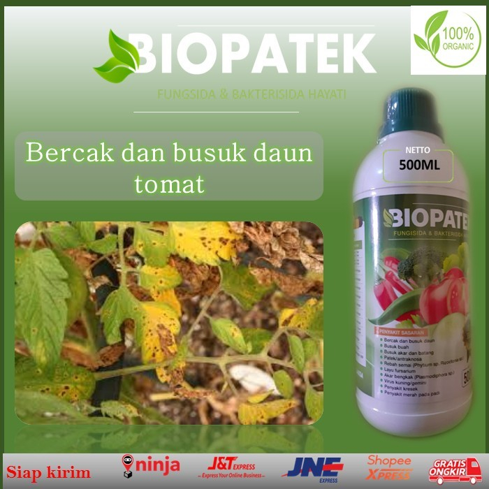 pupuk ampuh untuk atasi bercak dan busuk daun tomat pupuk organik cair biopatek fungsida dan bakteri