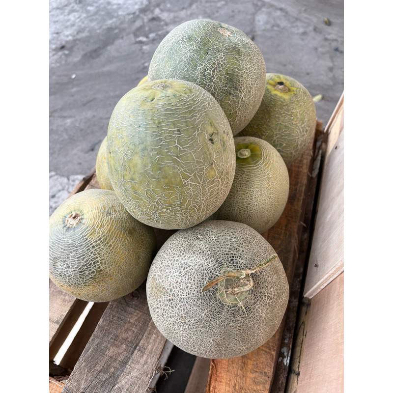

Melon