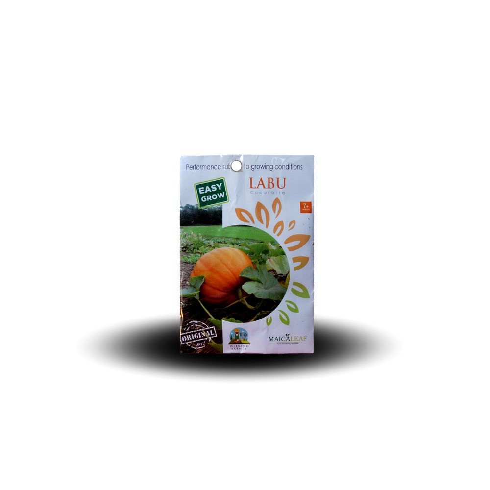 

Labu Maica Leaf Easy Grow 7 Seeds - Star Farm