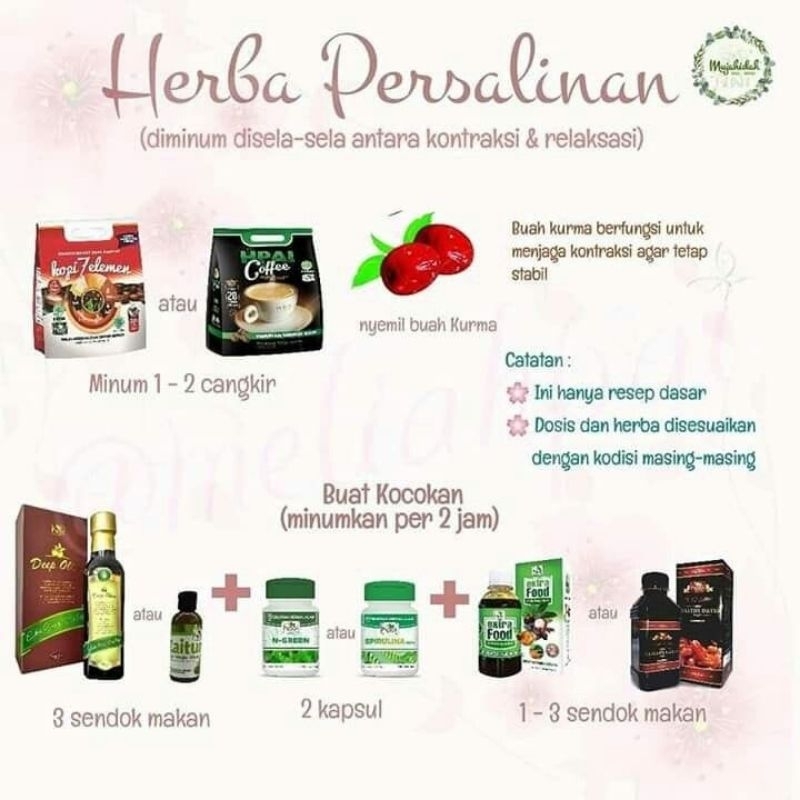 HNI HPAI Paket Herba Persalinan/Nutrisi Sehat Keluarga/Kopi 7 Elemen/HNI Coffee/N Green/Spirulina/Et