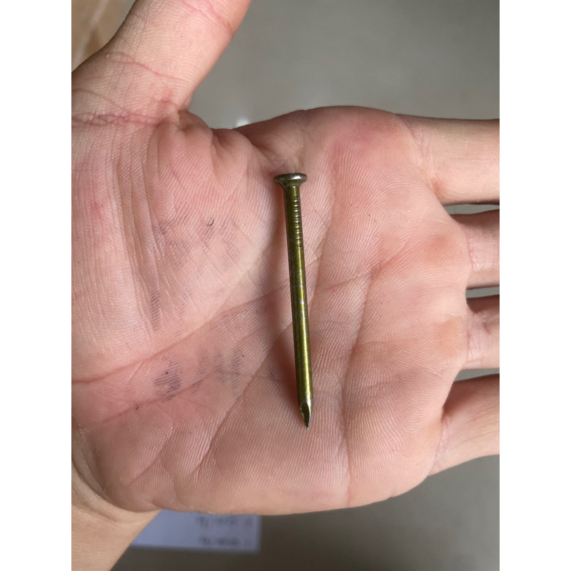 PAKU BETON DAIWA 2" (5cm)ISI 100PCS