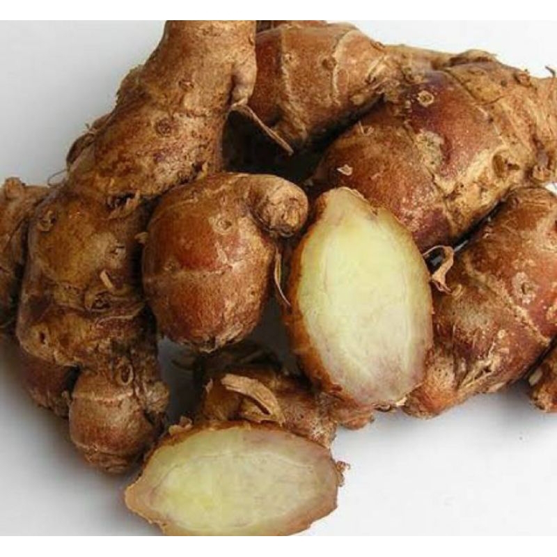 

cikur