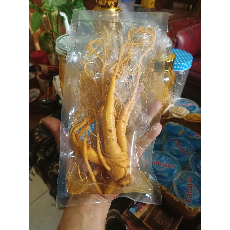 

gingseng merah korea original