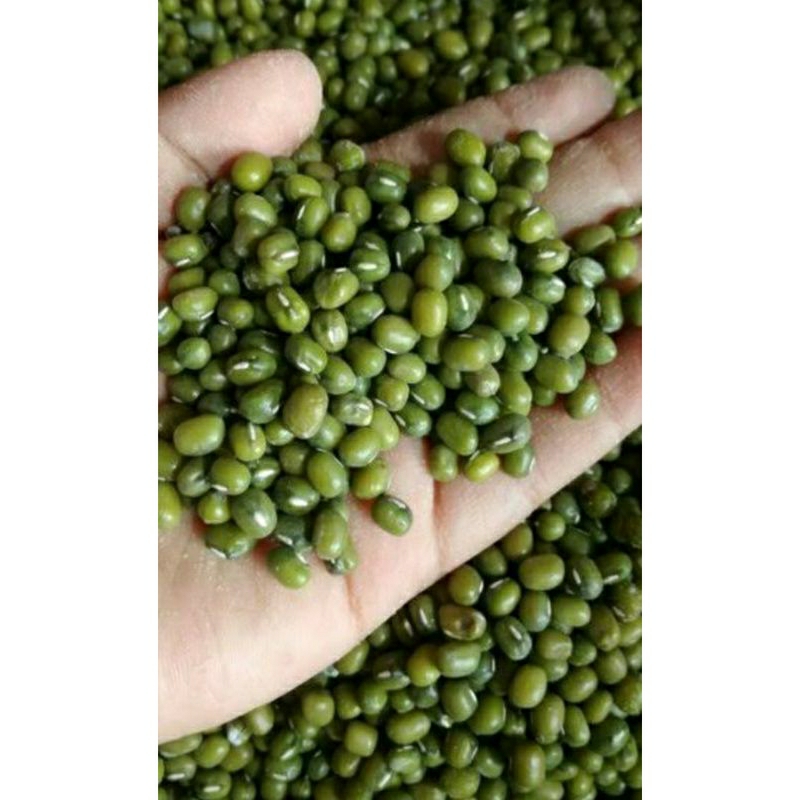 BENIH KACANG HIJAU BERKUALITAS SUPER 1KG
