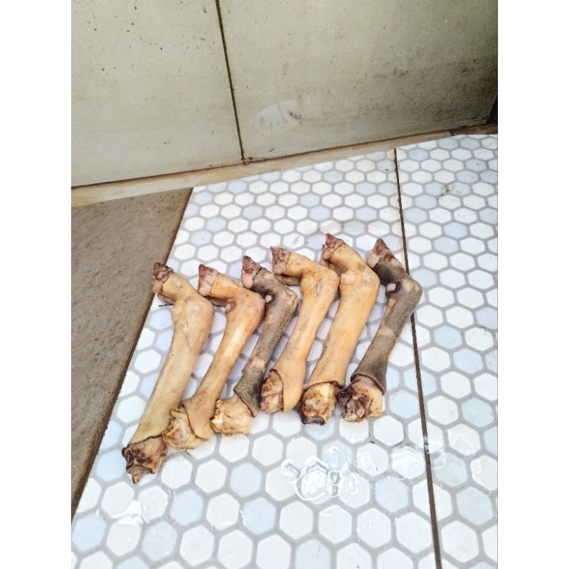 

Kaki Kambing/Domba Bakar Bersih