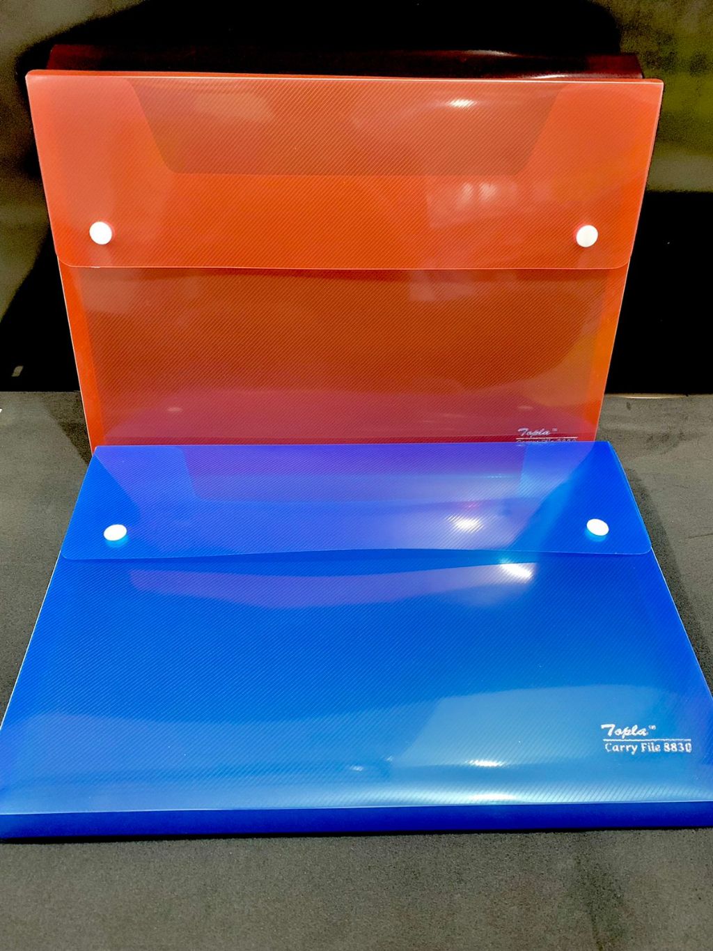 

Carry case / Carry box / Carry file / Box file / Carry bag 8830