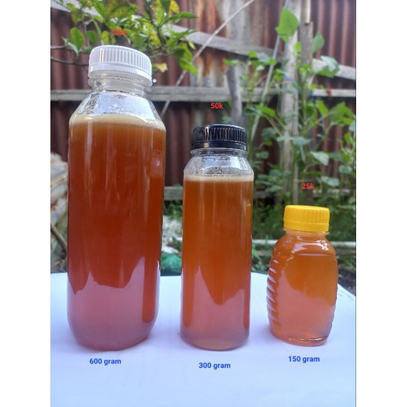 

Madu Hutan liar Apis Dorsata