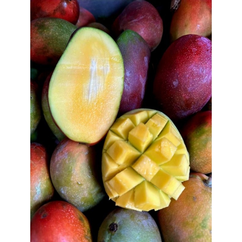 

Mangga Brazil / Mangga Grafita 1kg