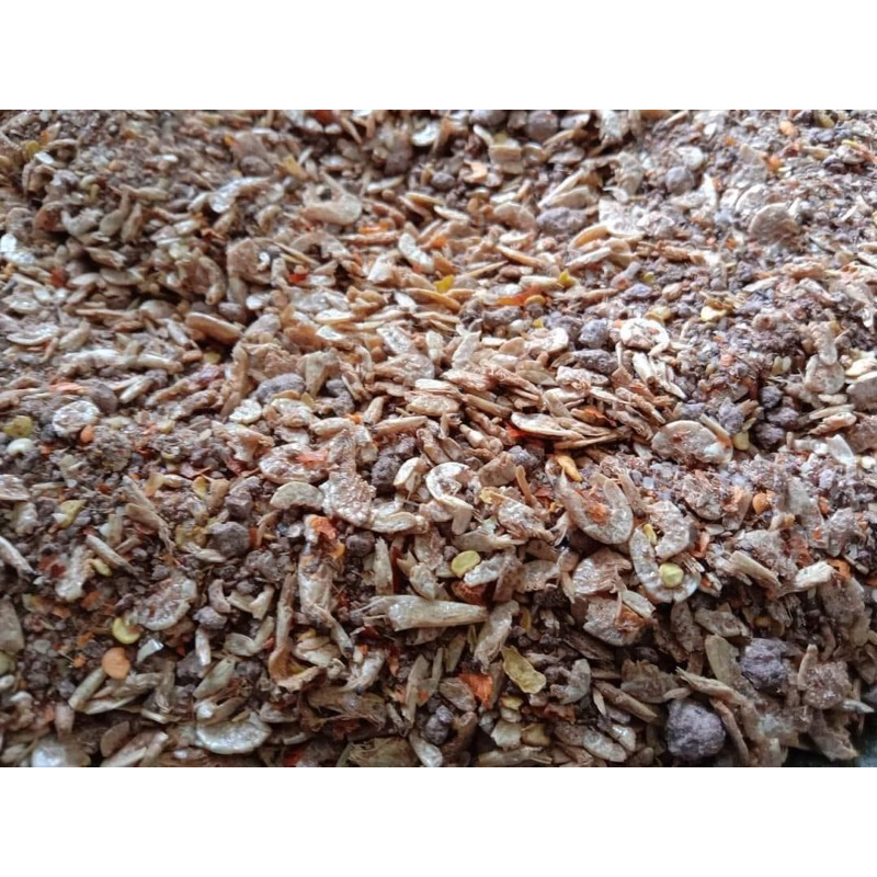 

Bubuk terasi kalimantan buat cocol buahh