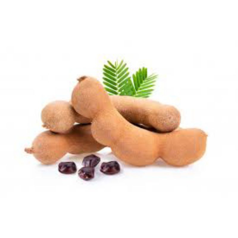 

ASAM JAWA TAMPA BIJI,JAMU HERBAL,JAMU TRADISIONAL,BUMBU MASAKAN