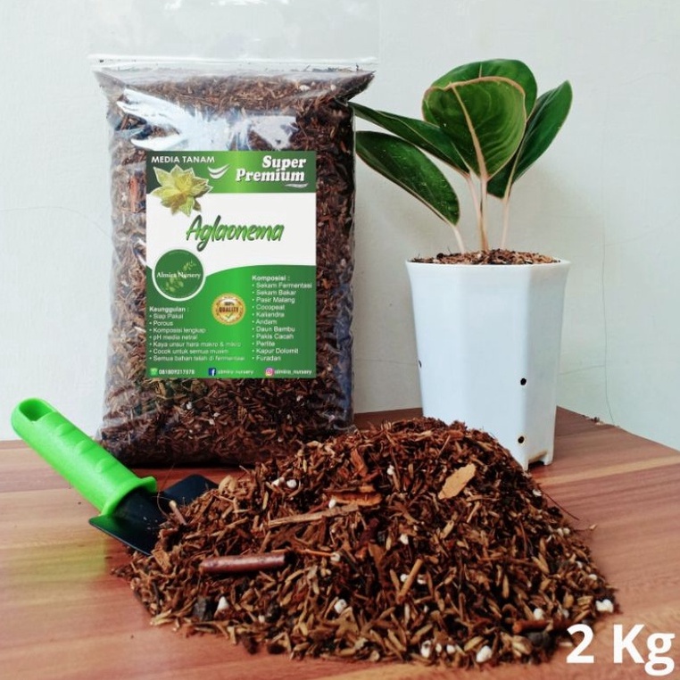 GROSIR ✅ Media Tanam Aglonema - Super Premium - 2Kg