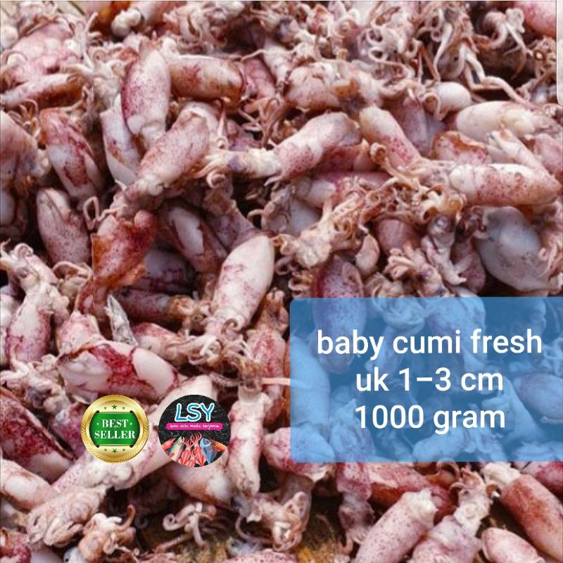 

SGS ikan asin baby cumi / cumi asin / cumi rebus 78 berat 500gram