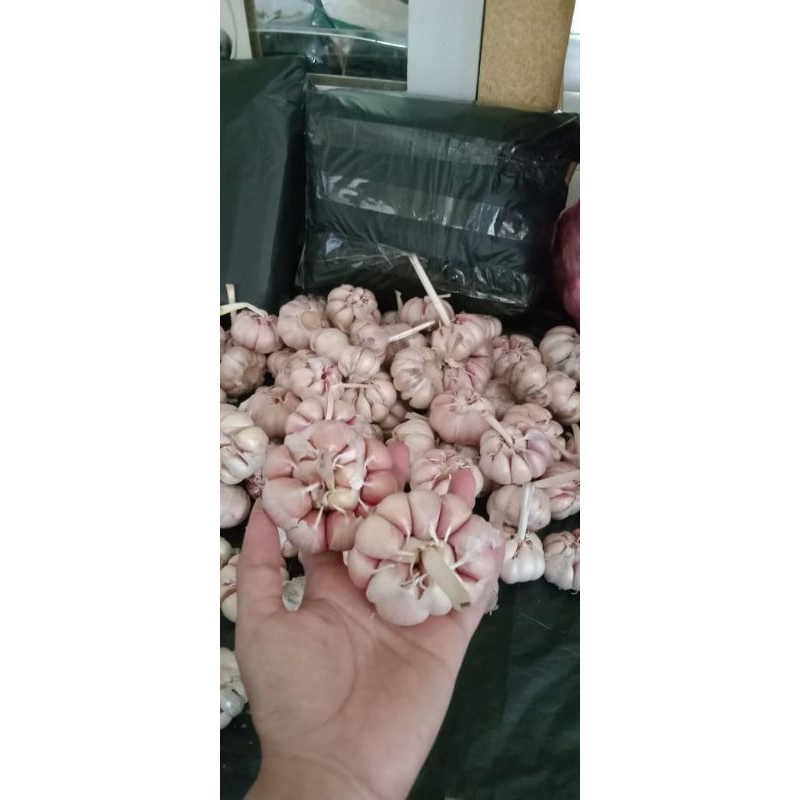 

BAWANG PUTIH BERSIH 1 KG , 500 GRAM DAN 250 GRAM
