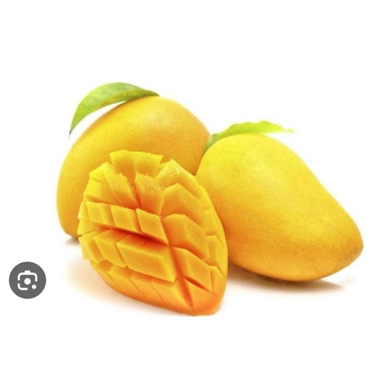 

Original Buah mangga 1kg serbuuu !