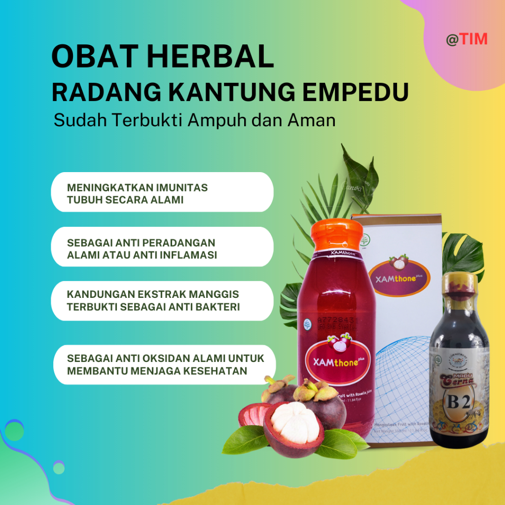 Obat Herbal Radang Kantung Empedu