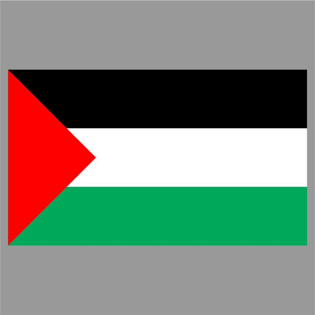 CUTTING STICKER BENDERA PALESTINA STIKER PALESTINE FLAG KACA MOBIL AKESORIS MOTOR