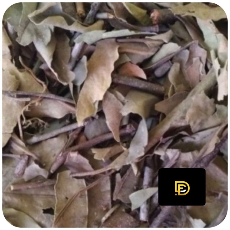 

Paket 500 gram benalu mangga kering alami-az