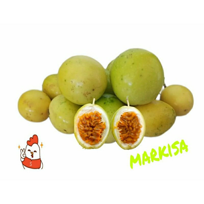 

buah markisa kuning