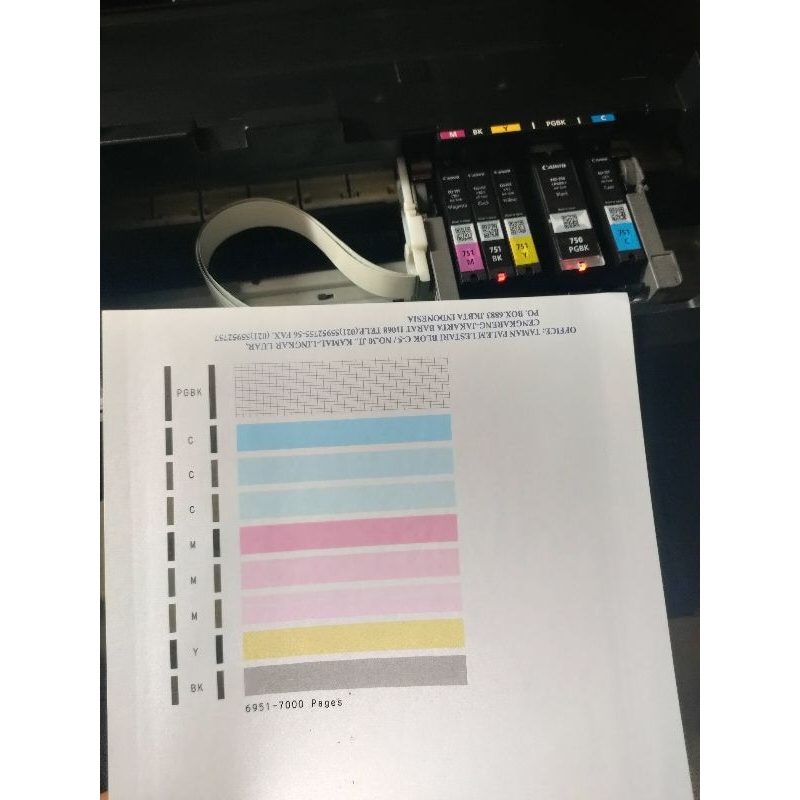 Printer Canon IX6770 A3