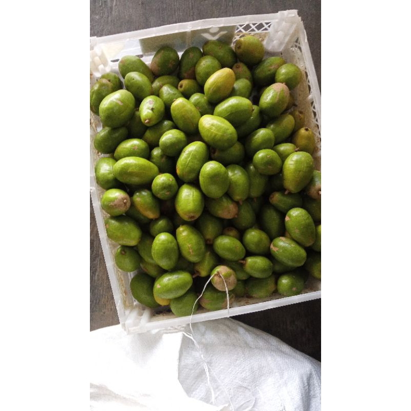 

kedondong fresh 1kg