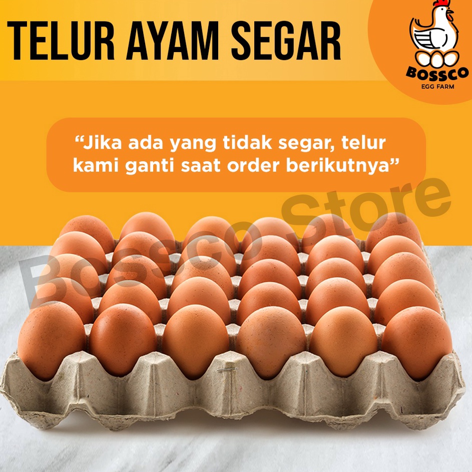 

YBKD8152 [KODE 77] Telur Ayam Negeri FRESH/ telor ayam negri per 1 tray telur ayam premium telor ayam premium telur segar telur ayam segar telur organik telur bebas bakteri telor ayam segar telor organik telor ayam segar telur omega telor omega