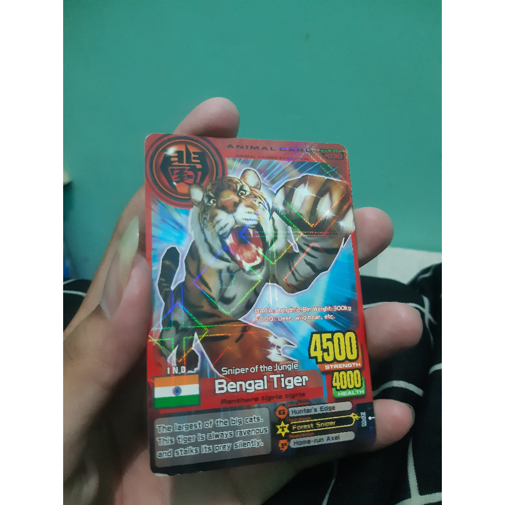 Bengal Tiger (Animal Kaiser Card)