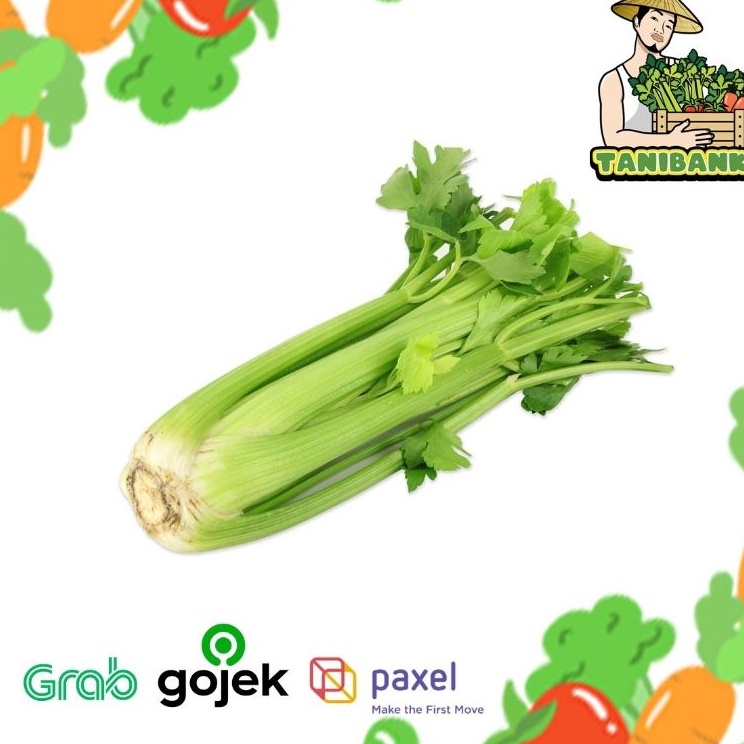 

SHVN8781 [KODE 77] HARGA 1KG Celery Stick import / Seledri Stik import,kualitas PREMIUM dan FRESH.
