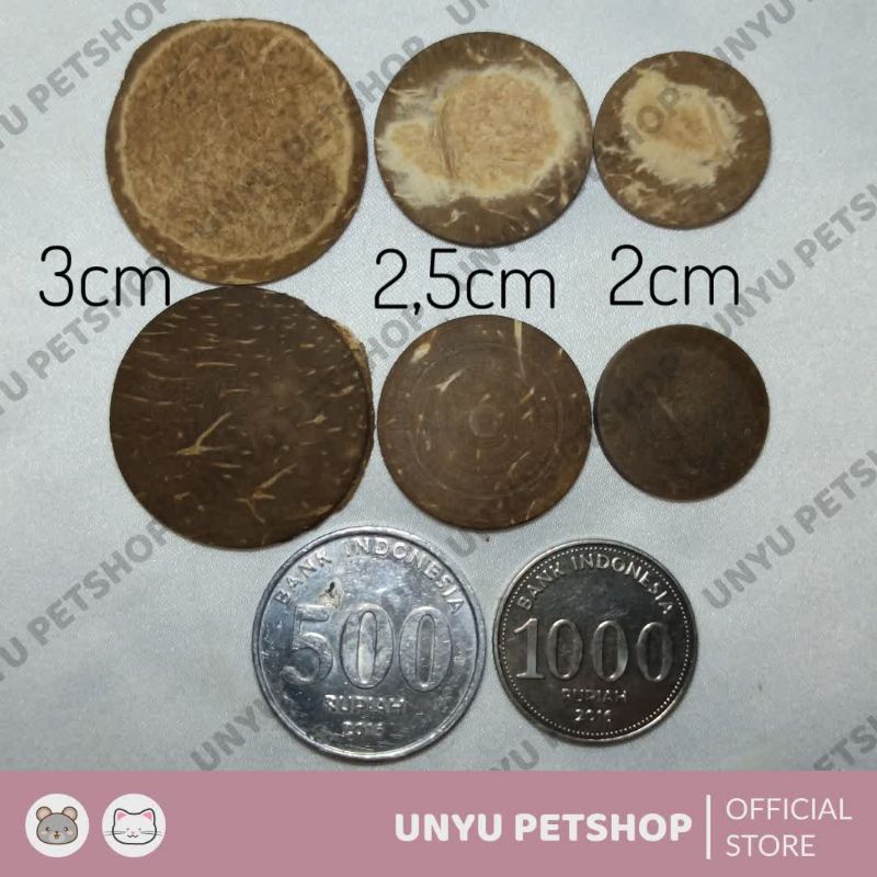 Tatakan moss bonsai aquascape aquarium batok kelapa isi 50pcs