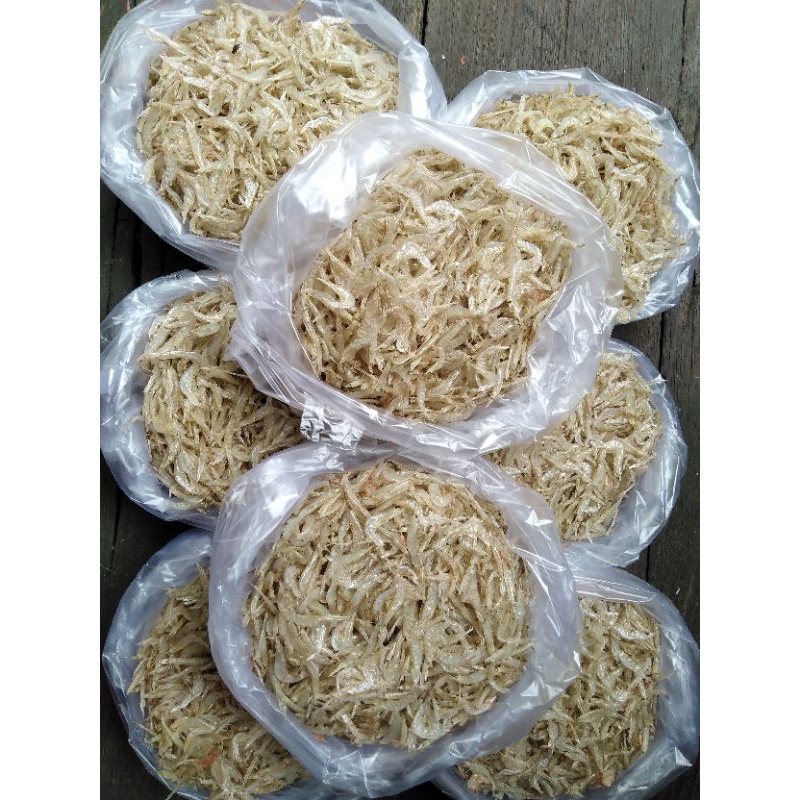 

udang Rebon