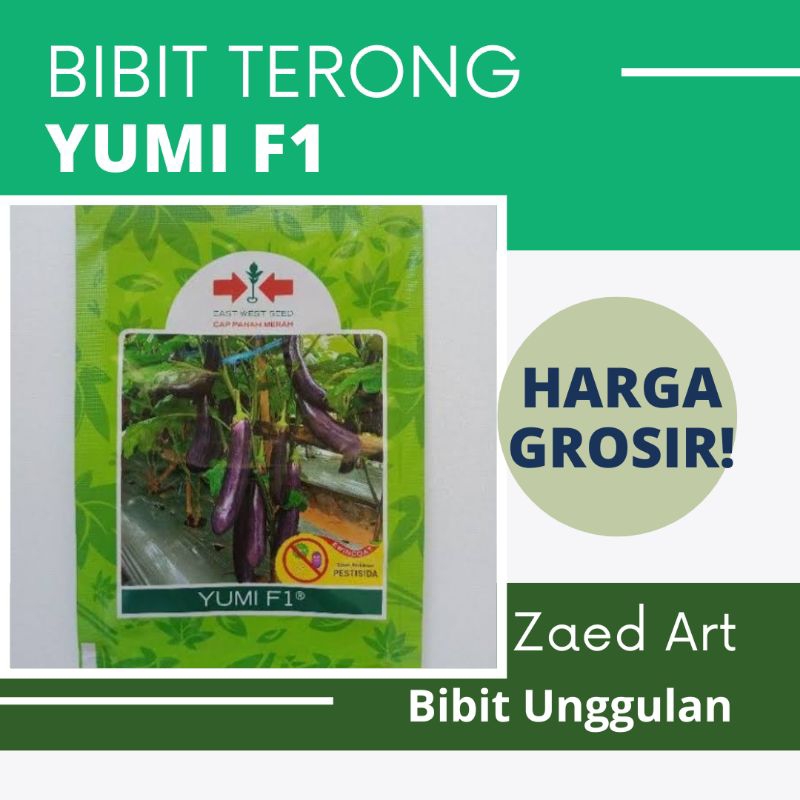 Bibit Terong Ungu Merk YUMI F1