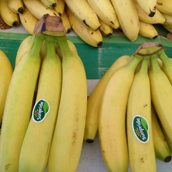 

Buah pisang Sunpride fresh 1kg