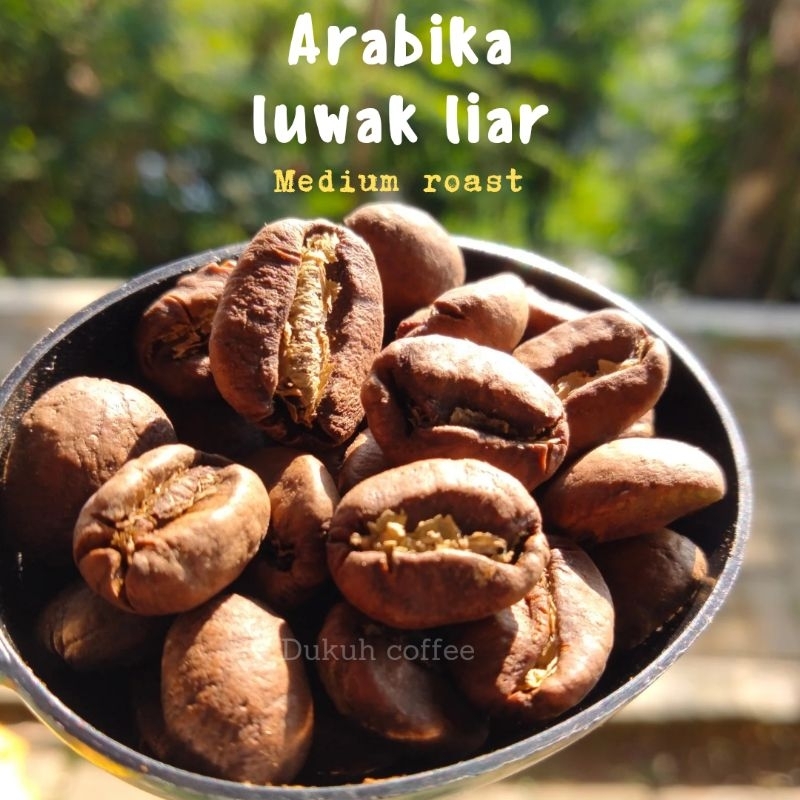 

Arabica Luwak liar biji kopi bubuk 200 gram kopi wonosobo