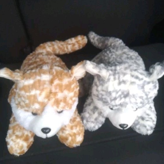 BONEKA KUCING BELANG ANGGORA PERSIA SIZE L SEDANG KARAKTER BINATANG EDUKASI ANAK SET HADIAH ULTAH KA