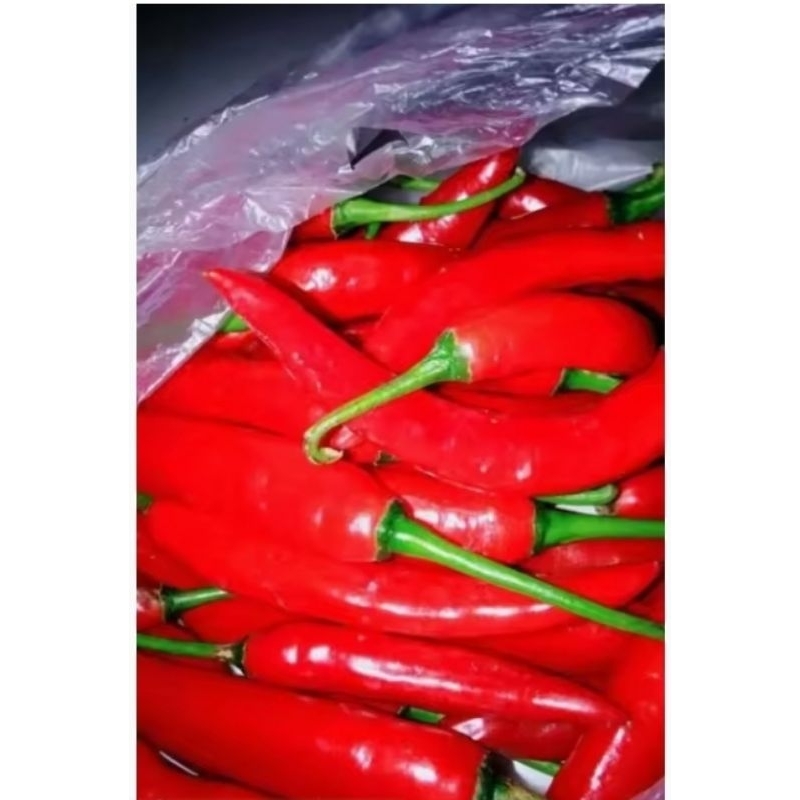 

cabe merah segar100gr