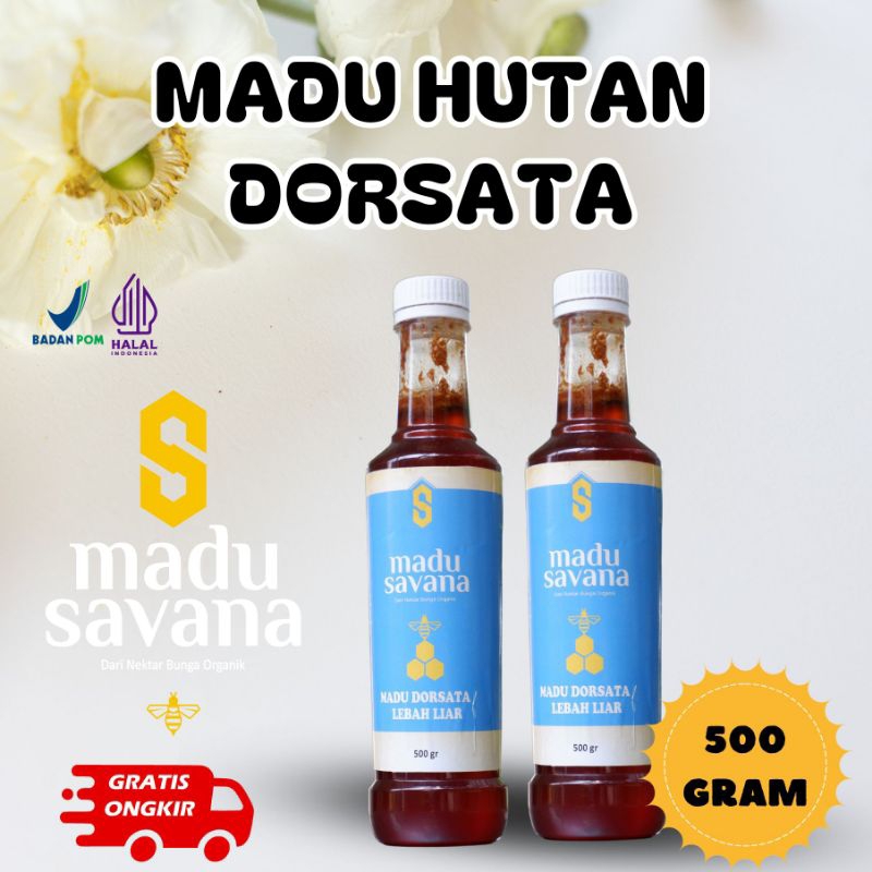 

Madu Savana Hutan Dorsata Lebah Liar Pure