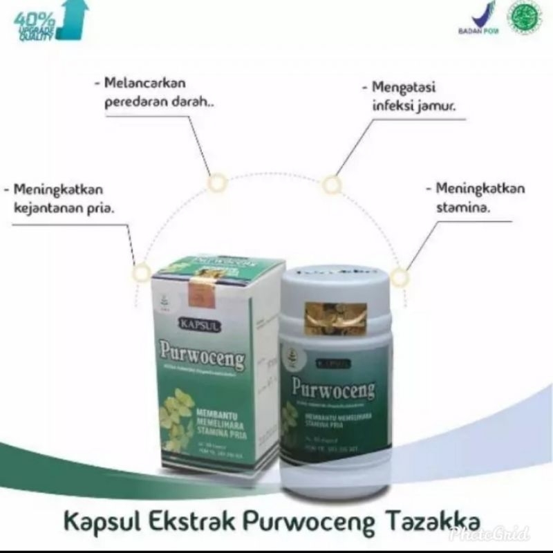 KAPSUL PURWOCENG TAZAKKA