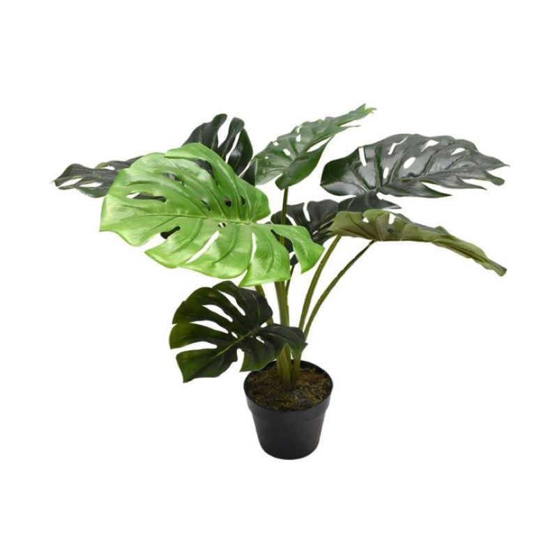 Monstera Tanaman artificial latex premium informa / Tanaman hias palsu Tanaman monstera Latex
