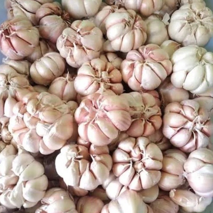 

✵Terlaris❄➺ BAWANG PUTIH KERING KEMASAN 500Gr Y43 ✧