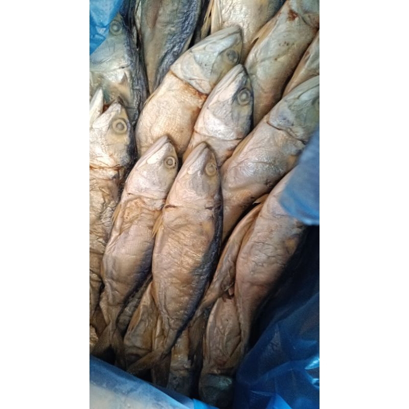 

pedak asin tanjung balai