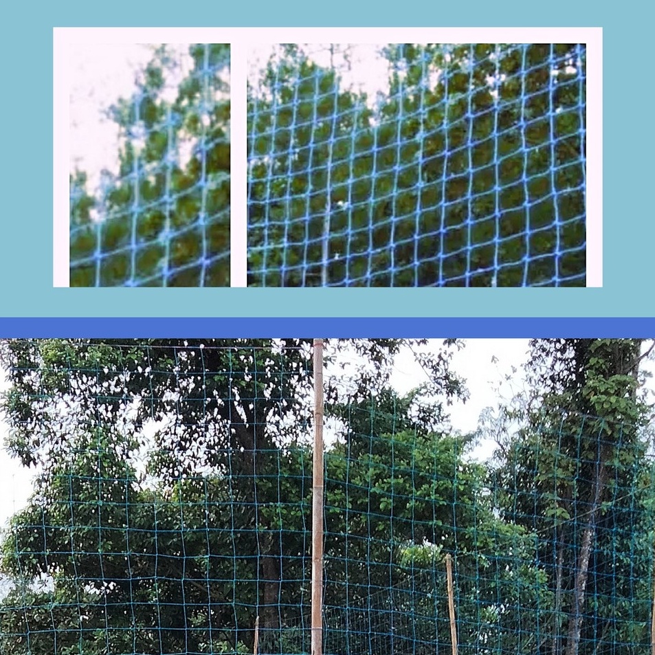 [KODE PRODUK GGQVT5587] Jaring Pengaman Voli Jaring Pagar lapangan Voly 2mm Jaring Lapangan Volly 2m