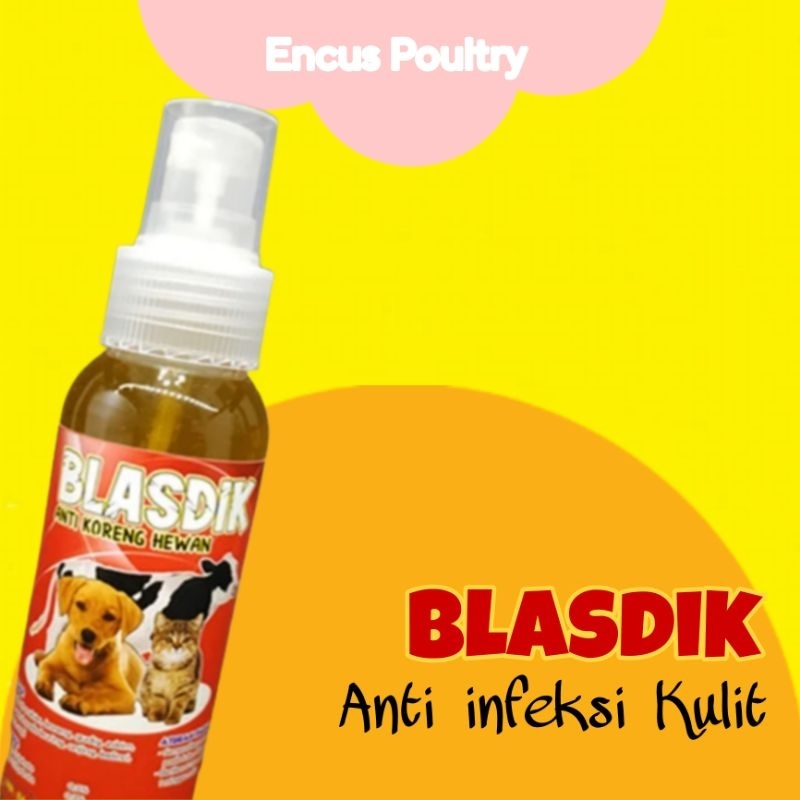 blasdik obat anti infeksi kulit hewan