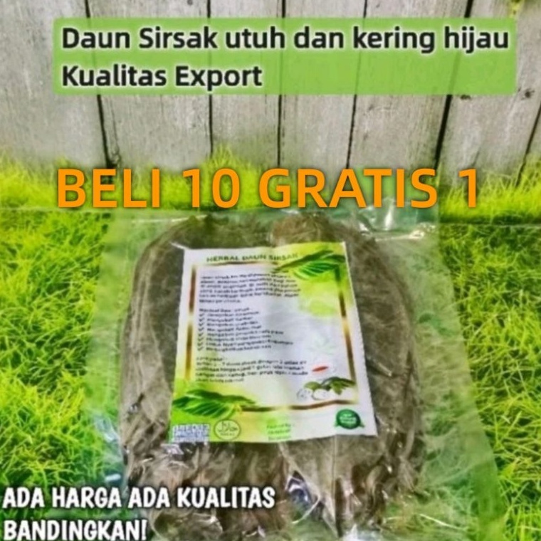 

81 Daun Sirsak Kering ( Barang kualitas Export Bisa COD ) prbyd
