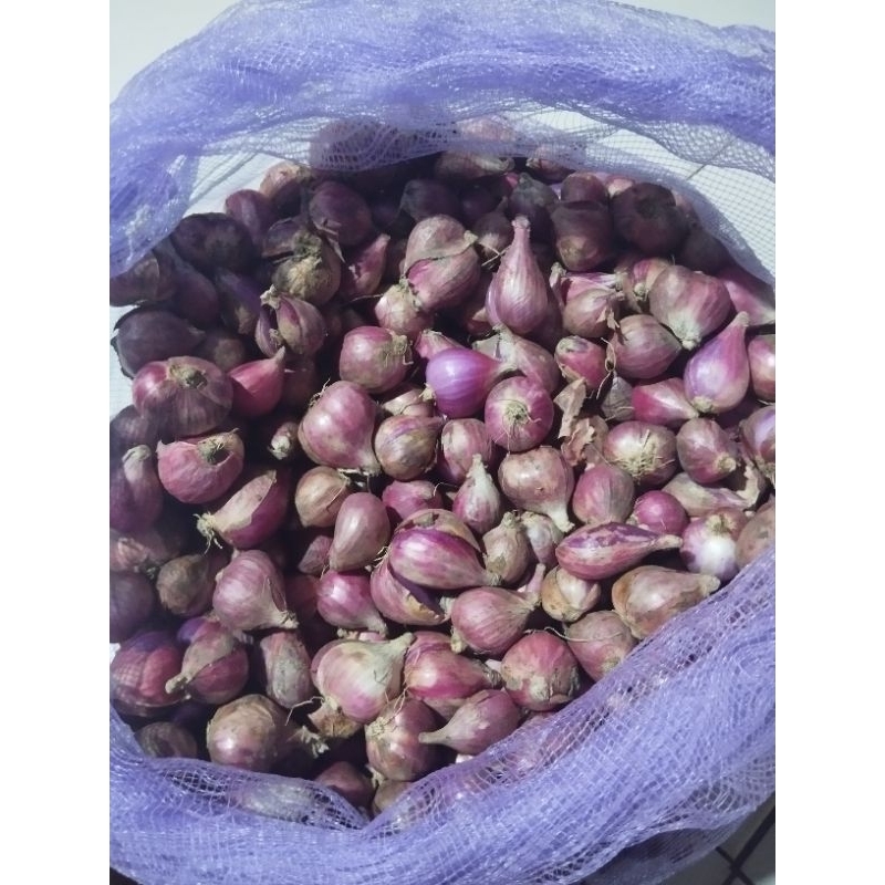 

Bawang merah Besar 1kg