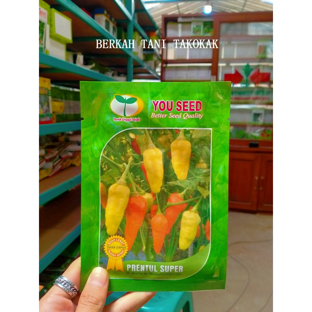 Benih cabe rawit PRENTUL SUPER 10 gram dari you seed