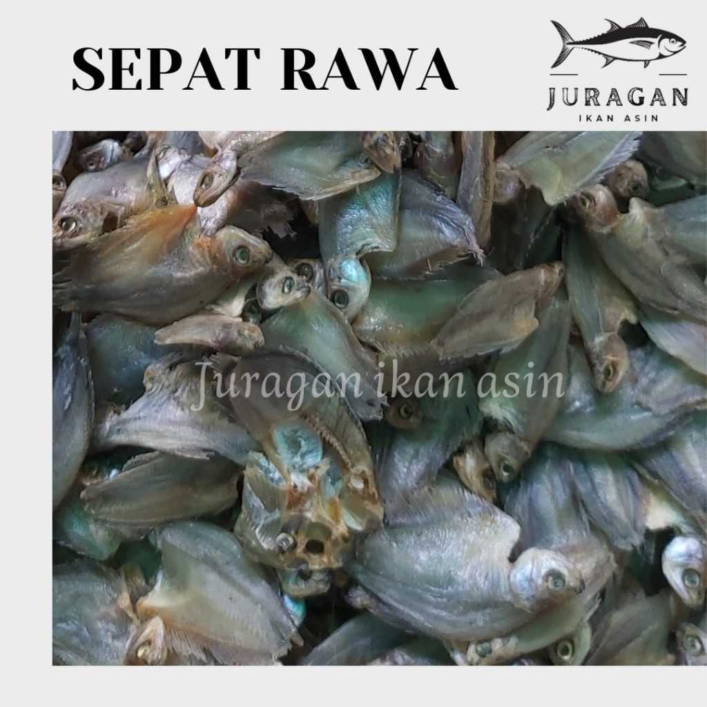 

IKAN SEPAT KECIL / SEPAT RAWA KEMASAN 250GR BISA COD / TERSEDIA HARGA GROSIR