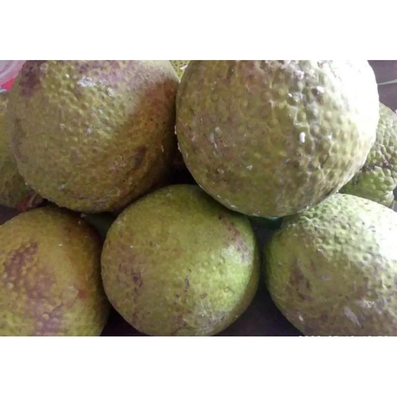 

buah sukun