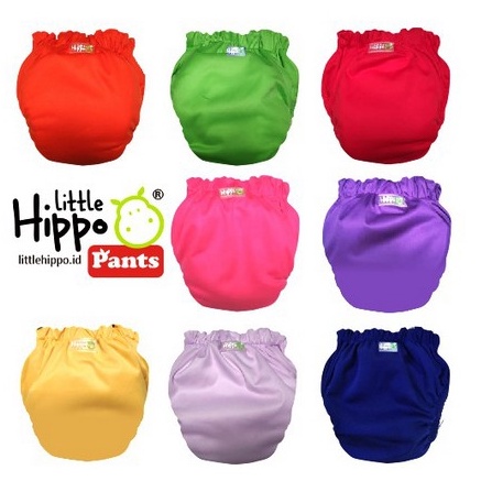 Terkini rcoal Eco Clody Ningrat Klodiz Nadnad Clodi AIO Pant Popok Kain Bayi Merk Little Hippo Chare